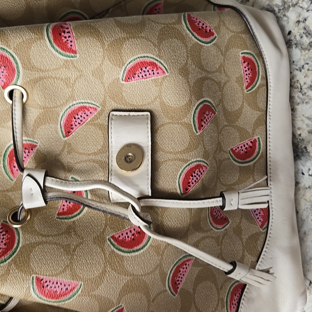 Coach Backpack - Picture 10 of 16